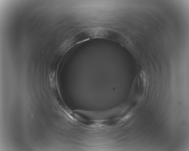 X0000064770239200602101257