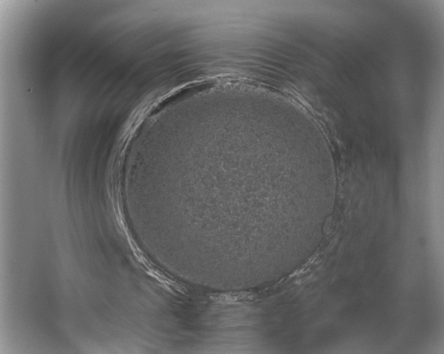 X0000064770241200602101256