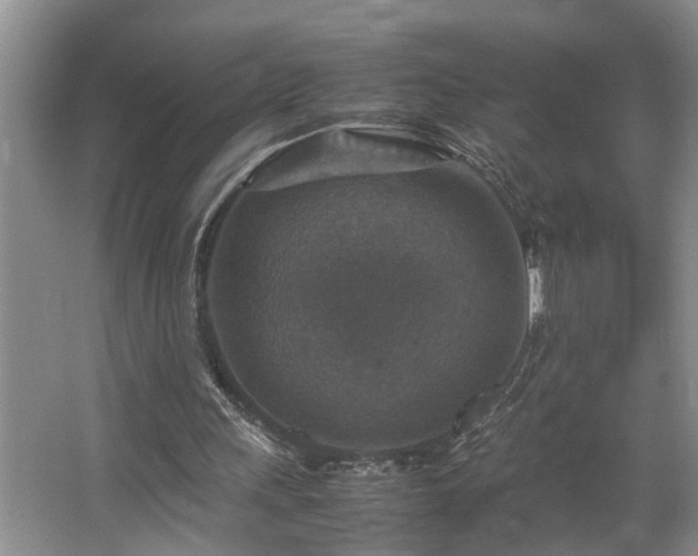 X0000064770243200602101256