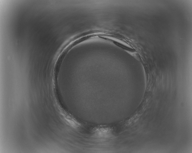 X0000064770247200602101256