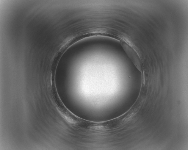 X0000064770253200602101256