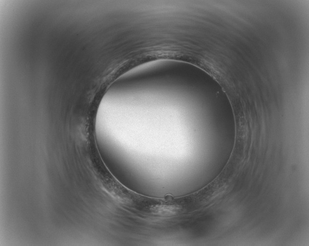 X0000064770255200602101256