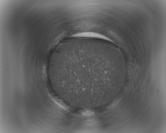 X0000064770258200602101257