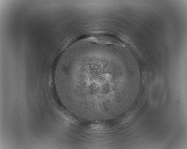 X0000064770259200602101257