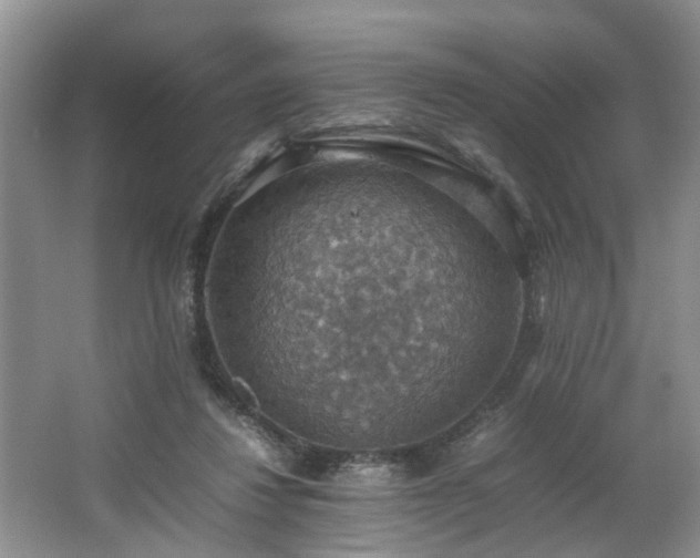 X0000064770260200602101257