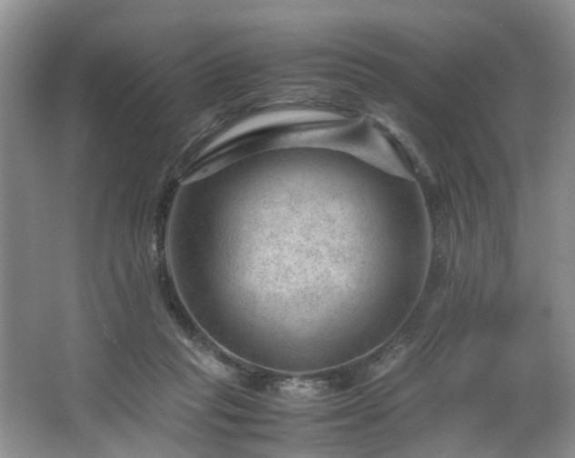 X0000064770261200602101257