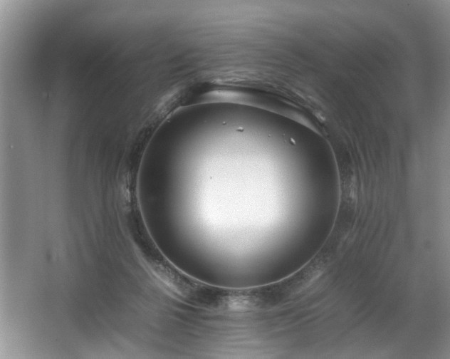 X0000064770264200602101257