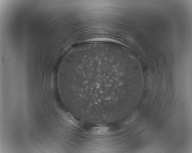 X0000064770266200602101257