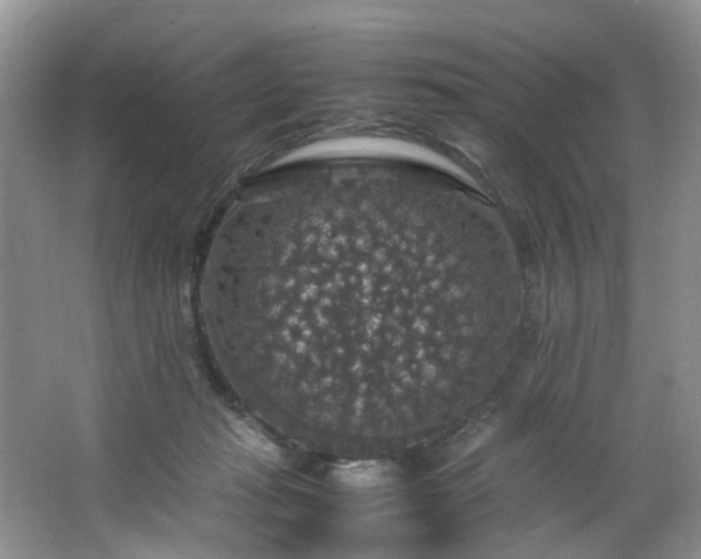 X0000064770269200602101257