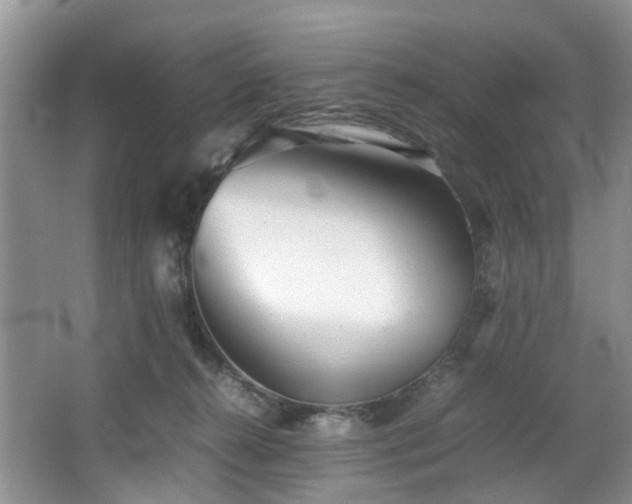 X0000064770272200602101257