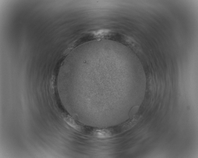 X0000064770275200602101257