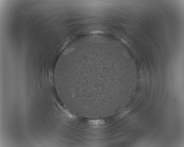 X0000064770281200602101257