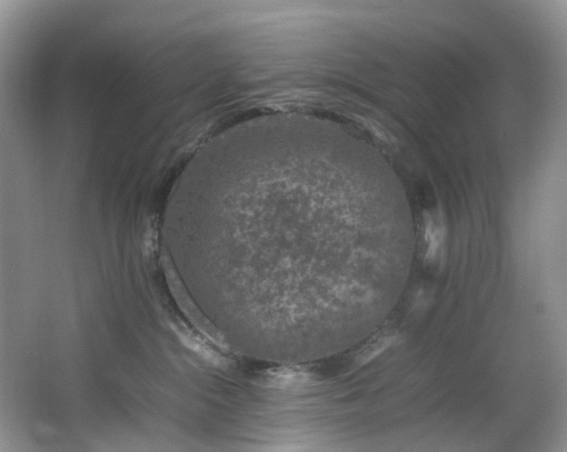 X0000064770284200602101257