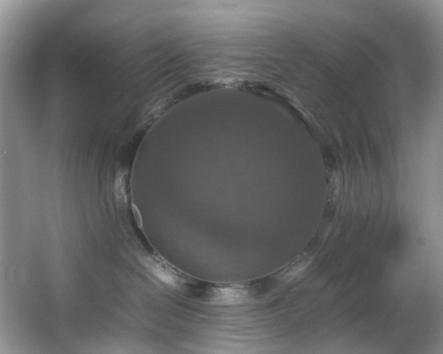 X0000064770286200602101257