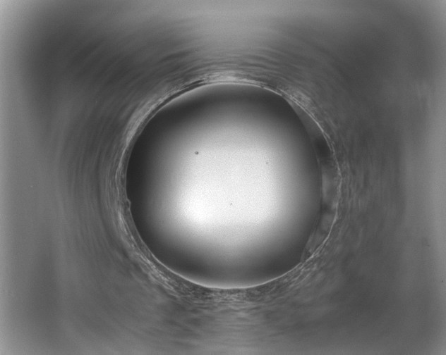 X0000064770289200602101256