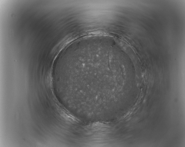 X0000064770290200602101256