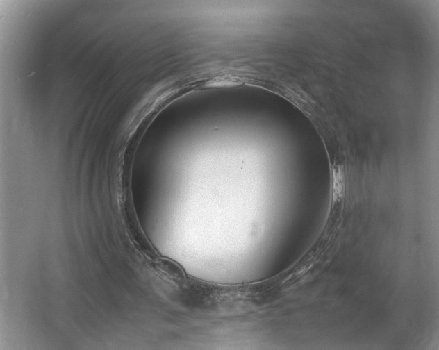 X0000064770291200602101256