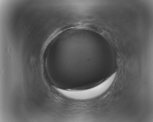 X0000064770295200602101256