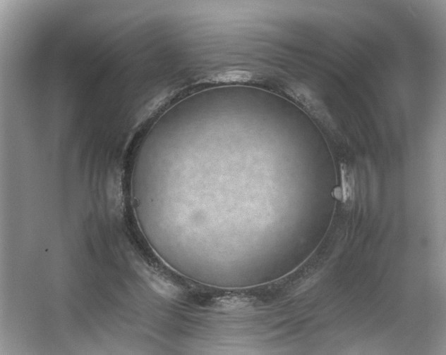 X0000064770300200602101256