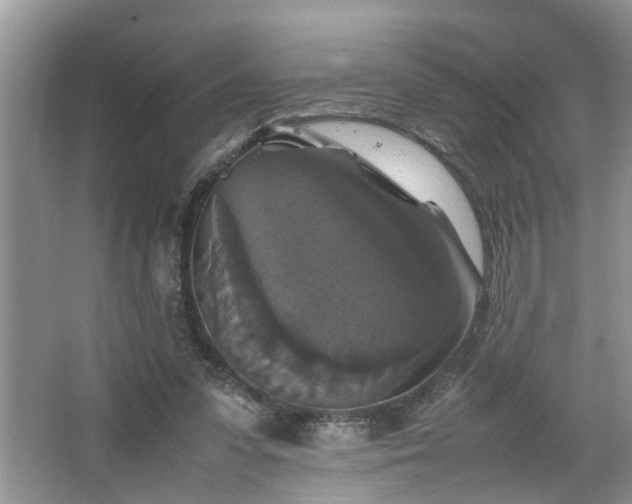 X0000064770303200602101256