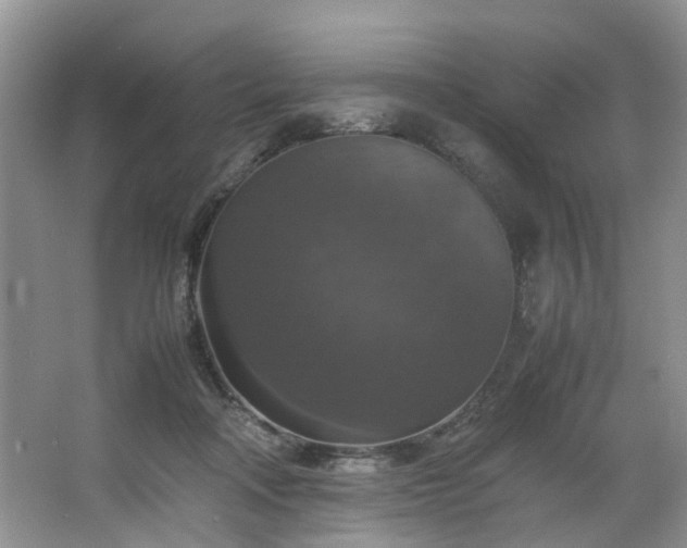 X0000064770314200602101256