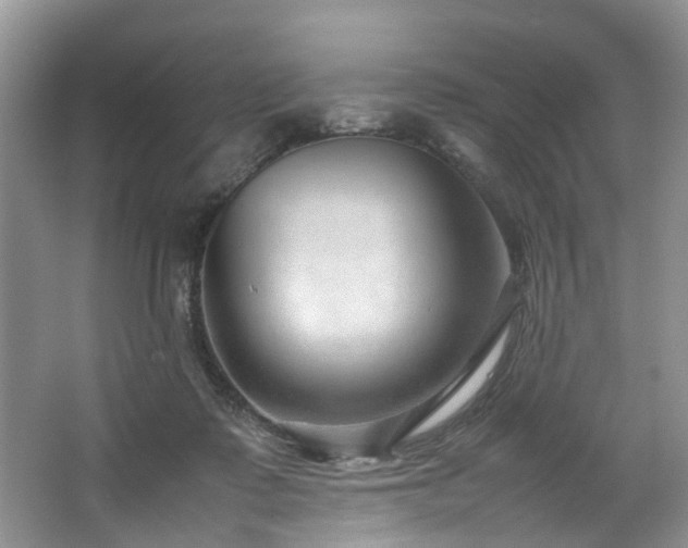 X0000064770315200602101256