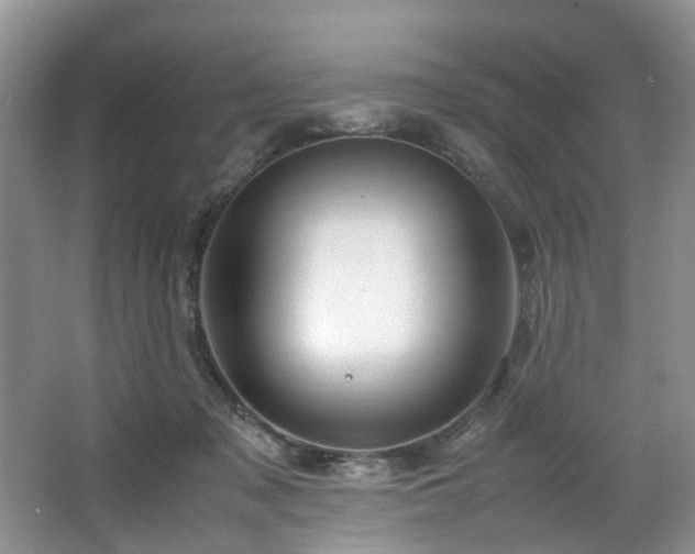 X0000064770317200602101256
