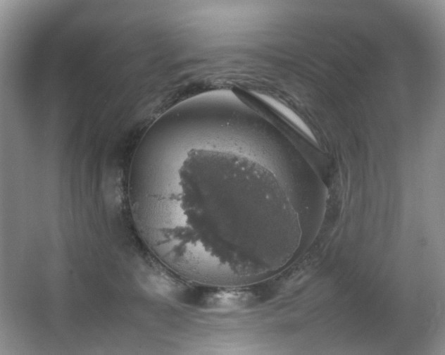 X0000064770323200602101256