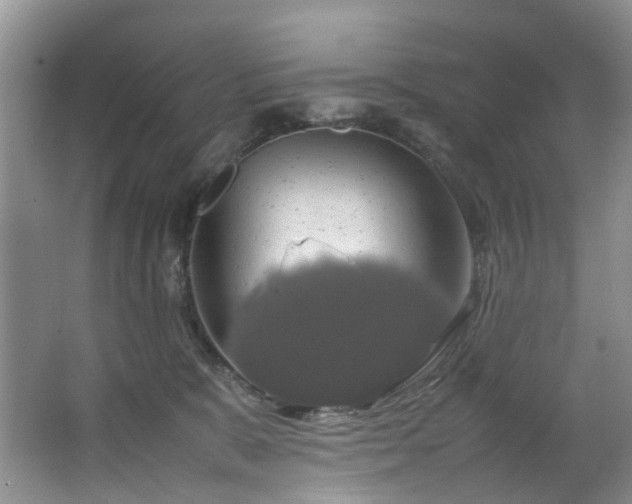X0000064770327200602101256