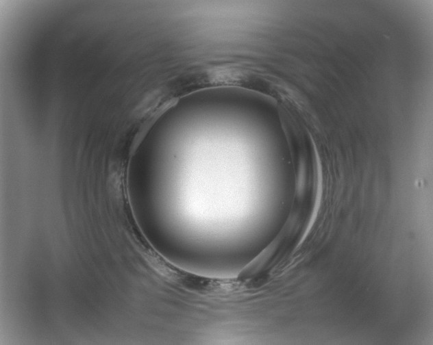 X0000064770329200602101256