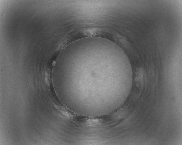 X0000064770332200602101255