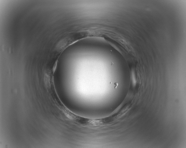 X0000064770333200602101255