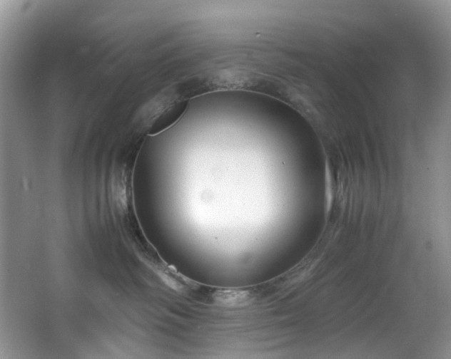 X0000064770334200602101255