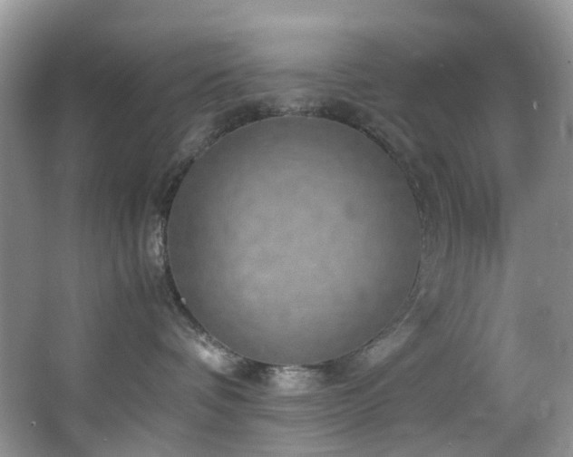 X0000064770336200602101255