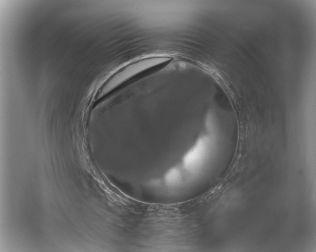 X0000064770337200602101255