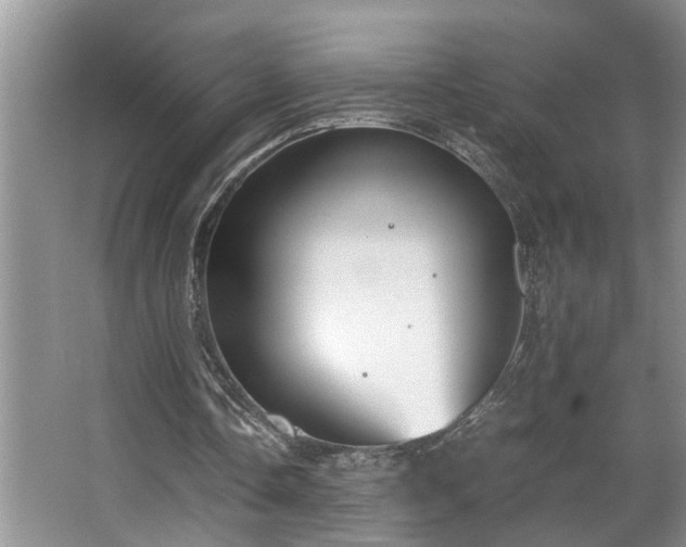 X0000064770338200602101255