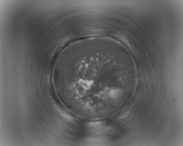 X0000064770357200602101255