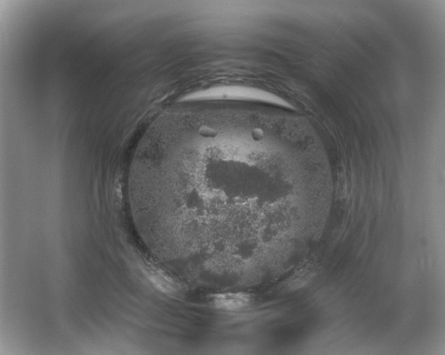 X0000064770363200602101255