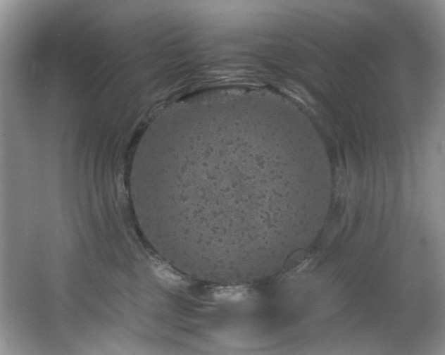 X0000064770377200602101255
