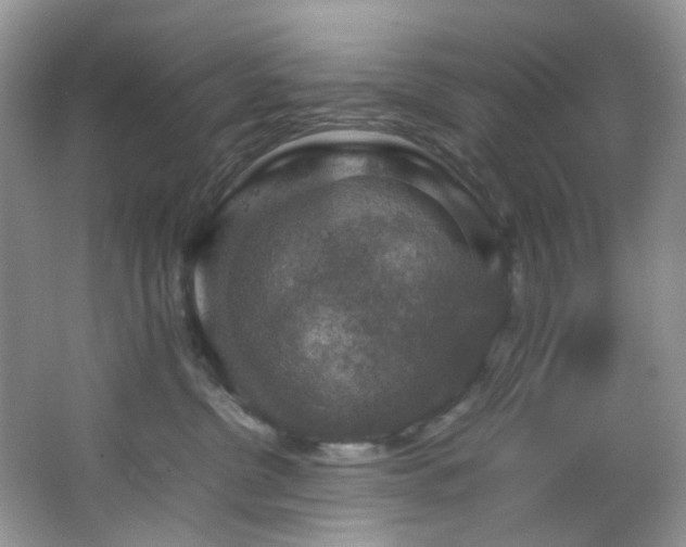 X0000064770380200602101255