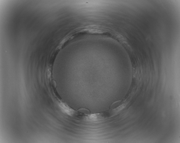 X0000064770382200602101255