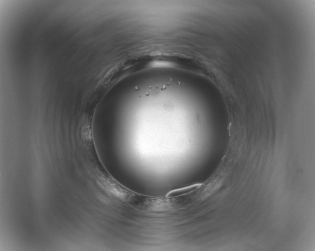 X0000064770384200602101255