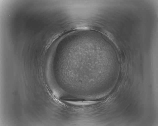 X0000064770385200602101255