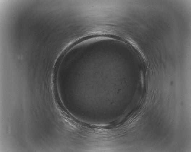 X0000064770387200602101255