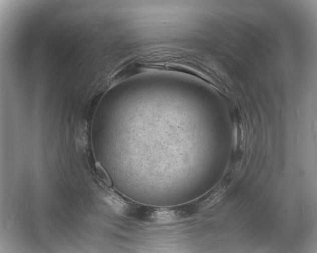 X0000064770413200602101254