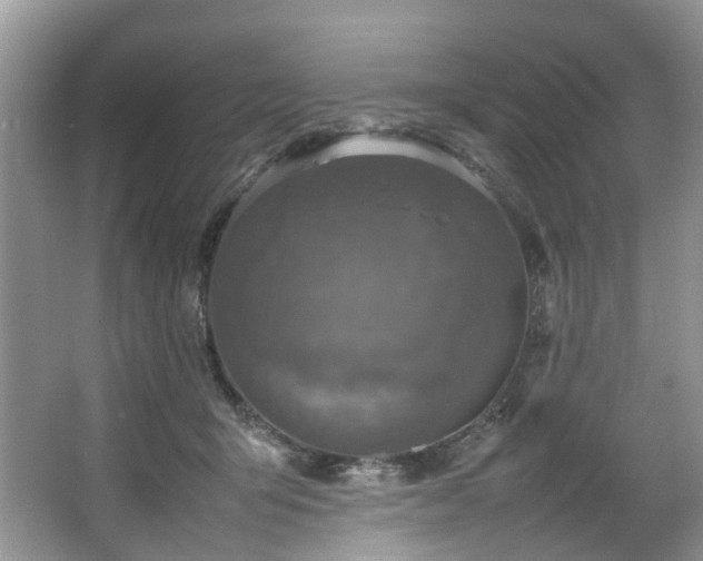 X0000064770415200602101254
