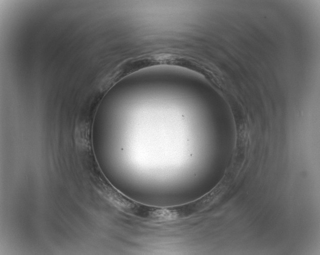 X0000064770421200602101254