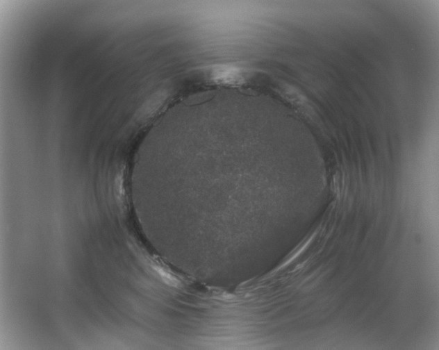 X0000064770424200602101254