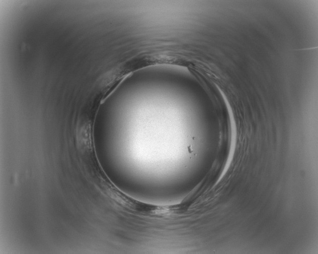 X0000064770425200602101254