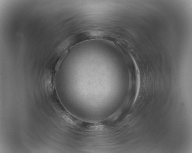 X0000064770428200602101254